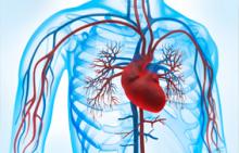 Internal medicine: Metabolism, vessels, heart